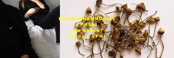 2c-b Богданович