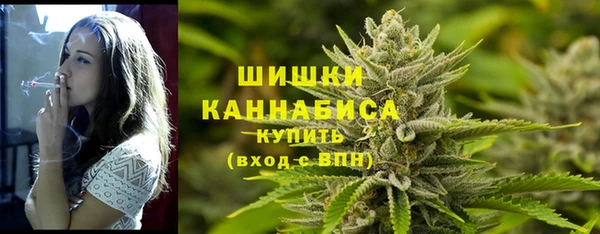 меф Богородицк