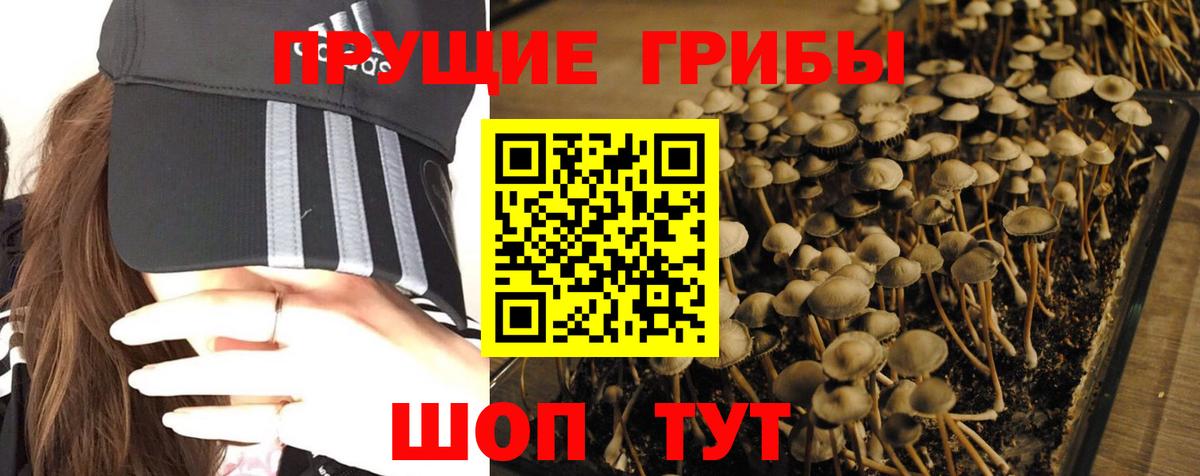 Галлюциногенные грибы MAGIC MUSHROOMS  Вход с VPN  Кушва 